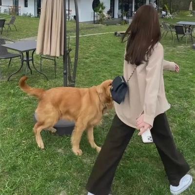 寄宿家庭的遗产