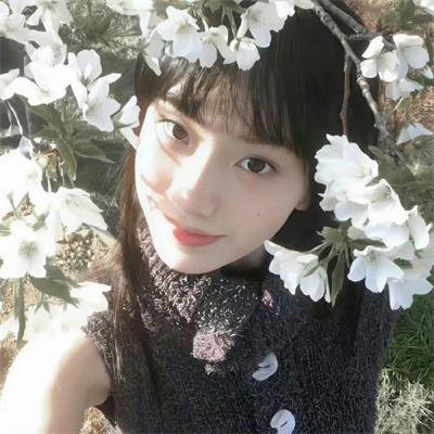 青山不墨